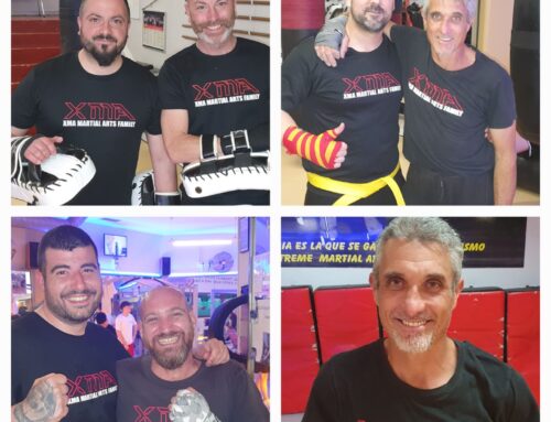 QUÉ DICEN LOS PSICÓLOGOS SOBRE LA PRÁCTICA REGULAR DE LAS ARTES MARCIALES XMA PARA ADULTOS ?