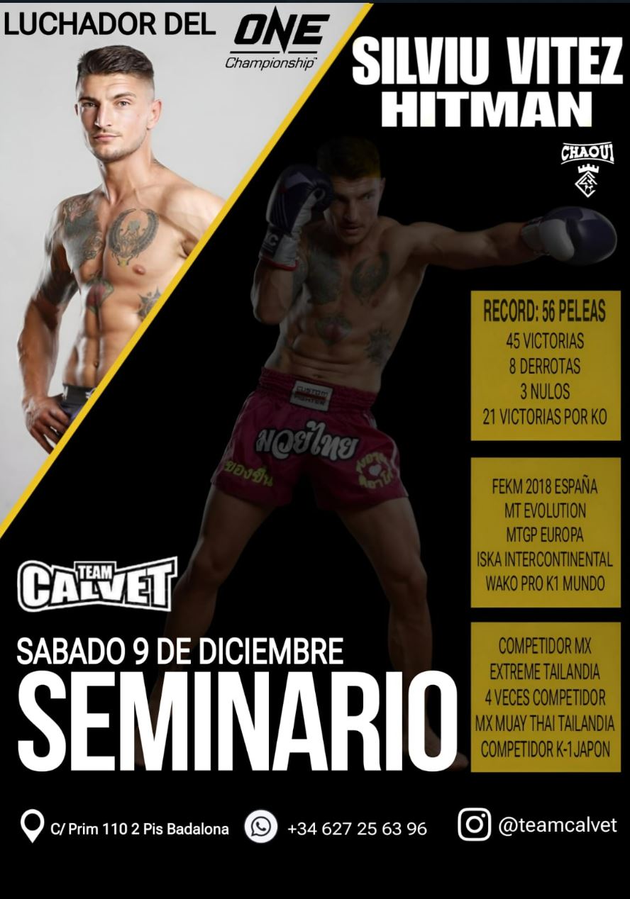 Seminario Silviu Vitez Hitman