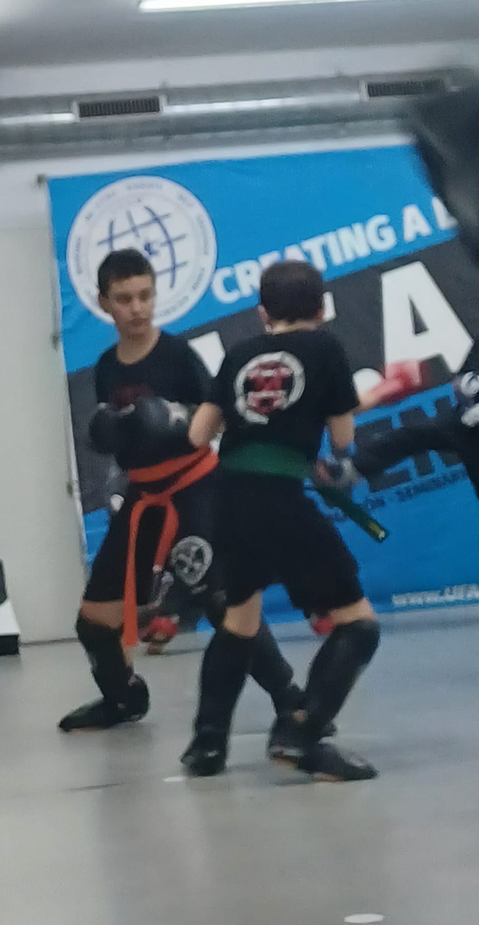 seminario de pointfighting (4)