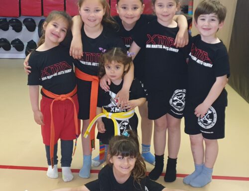 Artes Marciales Infantil
